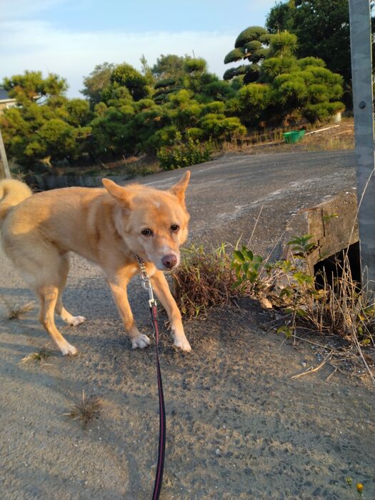 画像1478